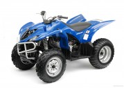 Yamaha Wolverine 350 Yamaha Wolverine 350